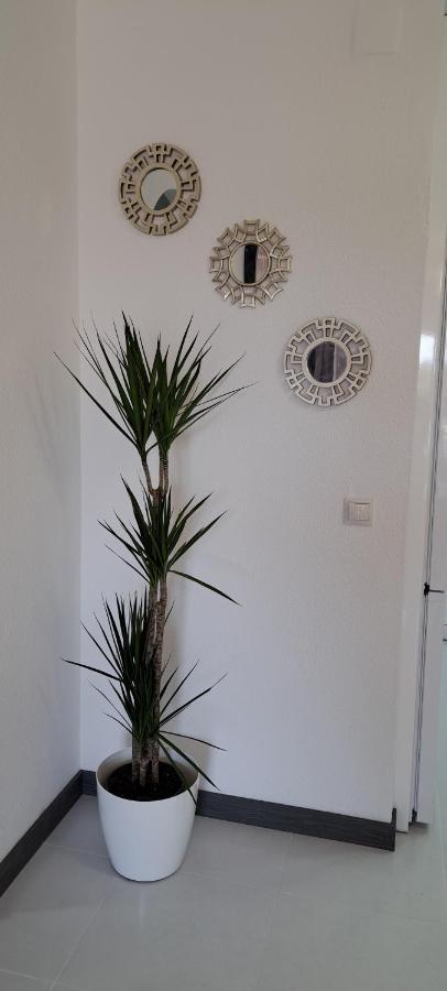 Apartamento Heco Peniscola Ngoại thất bức ảnh